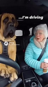 Hahahaah that’s my Dog! | Snoop Dogg