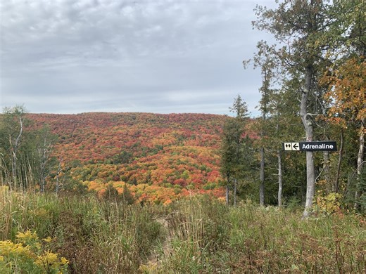 Fall bucket list for moms