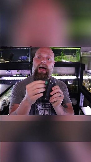 Fish Tank Sponge Filter Flow: Optimal Setup Guide