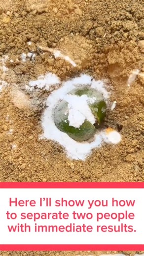 Real Witchcraft on Instagram: "That's how I separated those two miserable people,here I'll show you how to separate two people with immediate results,you must be very sure about doing it because once it's done,there's no turning back to begin this powerful spell,you're going to get a lemon and cut it in half,then,go to a flower pot or to your yard and make a small hole in the soil,put the lemon inside on a piece of paper,write his name with black ink and on the other side write her name,fold the