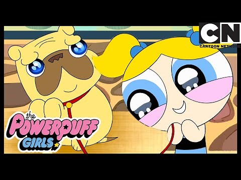 Bubble's Gets A Bad Dog | Powerpuff Girls | Cartoon Network