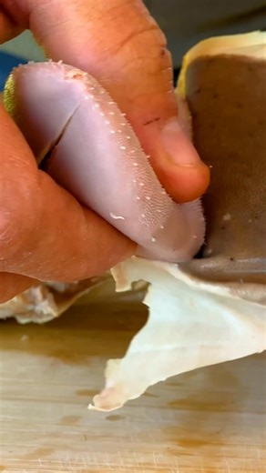 Savory tongue dish prepared with tender care and traditional stewing techniques. Experience the rich flavors of this hearty meal cooked over an open flame. #TraditionalCooking #SavoryTongue #FireCooking #Cooking | FV Stories