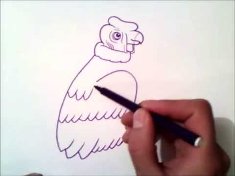 how to draw a condor step by step | how to draw a condor