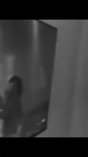 Vidéos de AKS!L (@h_aksil) avec son original - AKS!L