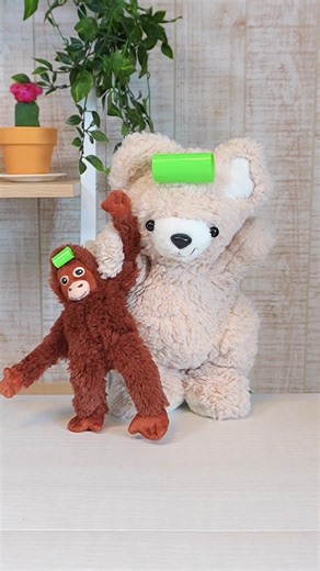 子ザルのパンチくんが大活躍！