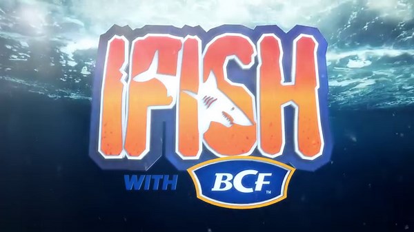 25 reactions · 3 comments | Murray Cod are an iconic species that lure Fishos have been targeting with everything from surface walkers to spinnerbaits, but did you know this Aussie native can also be targeted on fly! 勞 This week on Ifish with BCF, PW heads back up to North-West Victoria with the fly rod in hand and has an epic day out on the water  Check out all the action this Sunday at 5PM on TEN Bold! #MurrayCod #Natives #IFISHwithBCF | BCF - Boating, Camping, Fishing | Facebook