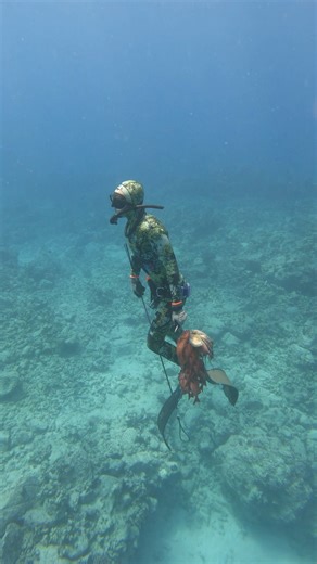 1.2M views · 15K reactions | Hawaii's Best Deep Sea Hunters! #spearfishing #fishing | Ryan Myers Spearfishing | Facebook