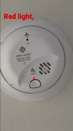 (Read Description) Red light, Green Light!