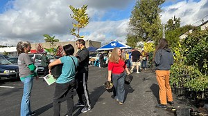 Trees Lexington holds tree adoption event