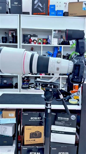 1.6K views · 1.8K reactions | Test file Canon 1dx Mark iii + EF400f2.8 trải nghiệm 3ngày4t | Đỗ Thanh Bình | Facebook