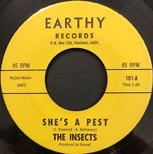 The Insects - She's A Pest