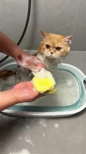 Pet Bathing Shampoo Container