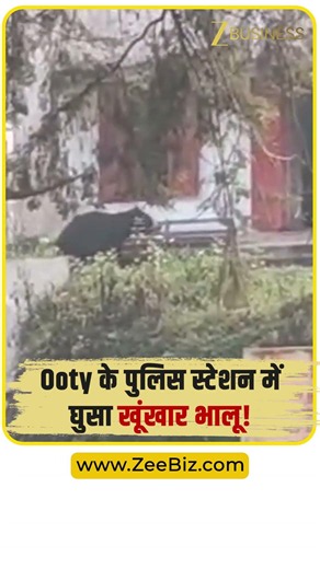 Nilgiris Bear Attack: पुलिस थाने में अचानक घुस आया विशालकाय भालू! Zee Business
