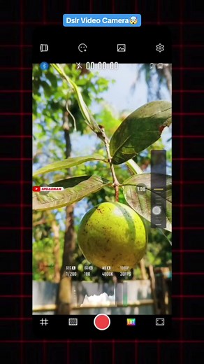Best Videography Camera Apps for Android - Learn Professional Photo Editing Instantly