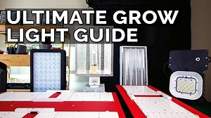 6.8K views · 215 reactions | Enter the HLG 550 V2 R Spec giveaway:...