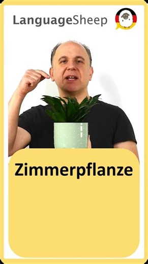 🇩🇪 Zimmerpflanze – so sprichst du es richtig aus!