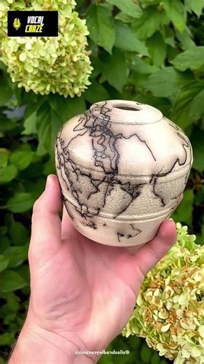 Horse's Hair Into Pottery Art | ‪@Vocal_Craze‬ #shortvideo #shorts #creativity #art #poetry