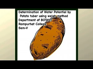 Determination of Water Potential by Potato tuber using weight method