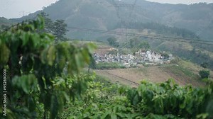 rural cemetery on a mountain in Vietnam near crop fields in the middle of nature