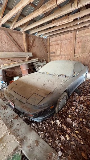 Expert Car Washing and Detailing Tips for Beginners