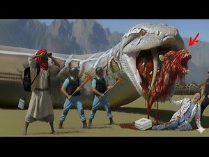 Heroic rescue team saves lonely camel from terrifying attack by giant python | Animal Rescue