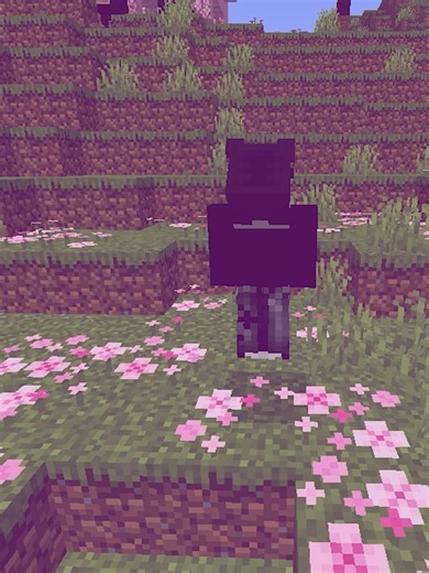 Cómo unirse al mejor servidor de Minecraft 2025