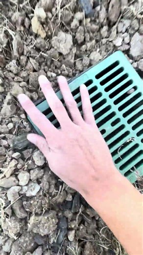 Catch Basins explained!