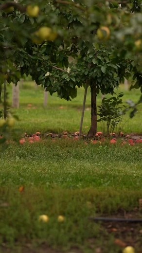 BigBellesMag on Reels