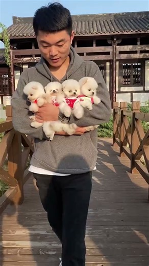 #All My Pets, One Big Hug#Caught with a Handfulof Happiness#Fluffy Squad Goals#cute#tending#