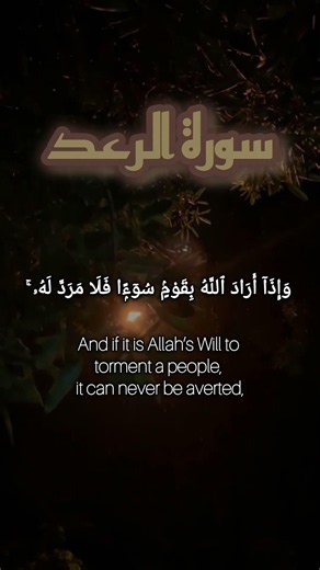 راحة نفسية مع قرآن الكريم 🌿| القارئ عبدالرحمن الماجد #المصحف