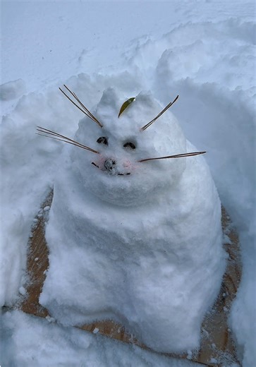 POV: too tired to build snowman; Hello snowkitty! ❄️🐱 with chanel cheeks 😳 #snowmanchallenge #fyp #trending
