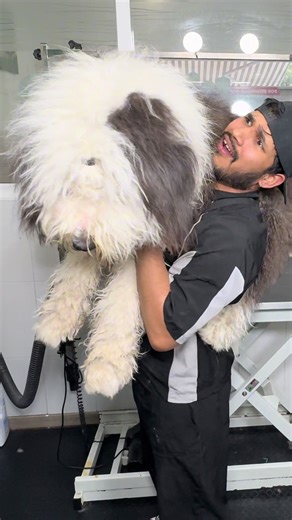 Cometí un crimen con este perraso😰 #fyp #dog | dogs