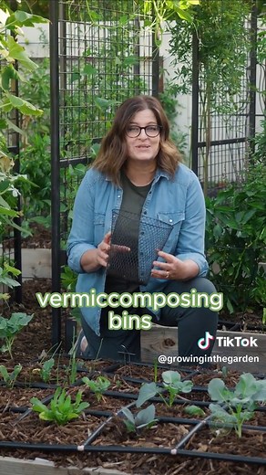 Soil fertility is key to the success of your garden. Increasing the beneficial microbes & adding organic matter to the soil help feed your plants.