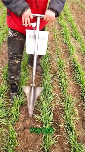 🌿 Mechanical Walking Crop Planter — Seeding & Fertilizing Wheat Field Rows with One Tool!