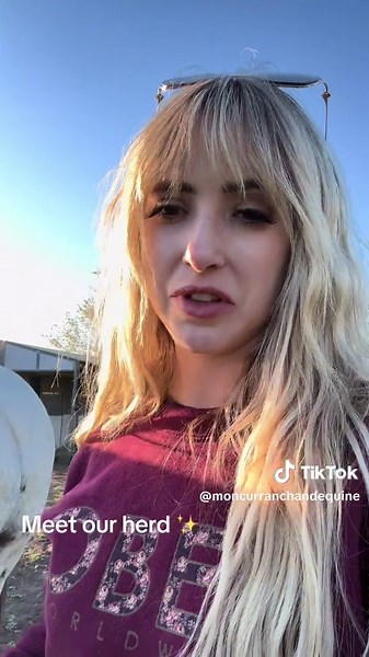 Introducing Our Horse Herd in Utah Ranch Life