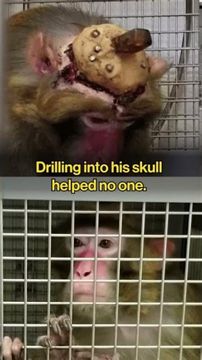 No one was made for a life like this 😔