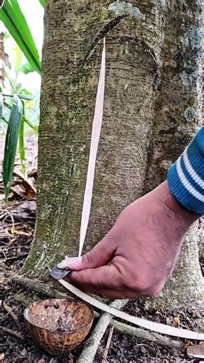 Like bee hives sometimes #asmr #rubber #legable #natural | Hives