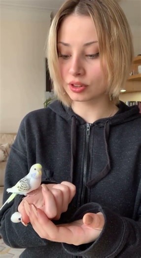 Yeni Şeffaf Muhabbet Kuşum!