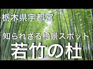 【栃木観光】栃木県民がまだ知らない隠れた絶景スポット あの名作のロケ地としても有名 業界人も注目するHOTスポット 若竹の杜