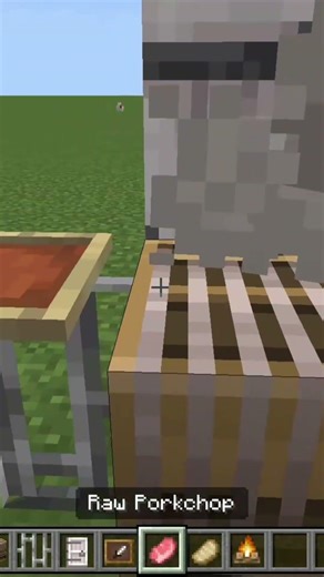 outdoor Barbecue in minecraft!