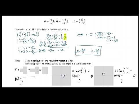 Vectors - Parallel HW