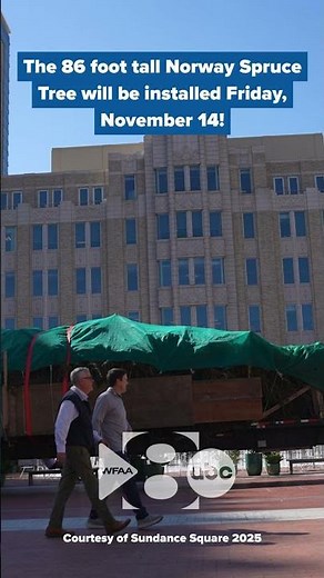 Fort Worth Community Christmas Tree arrives in North Texas