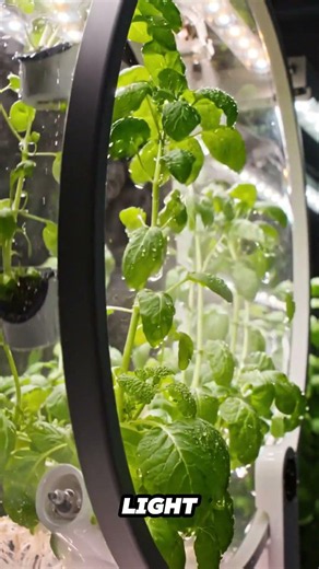 😱 This Hydroponic Farm Spins While It Grows! 🔄🌱