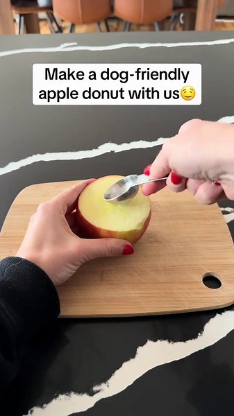 Healthy apple donuts for dogs: Easy treat recipe tips