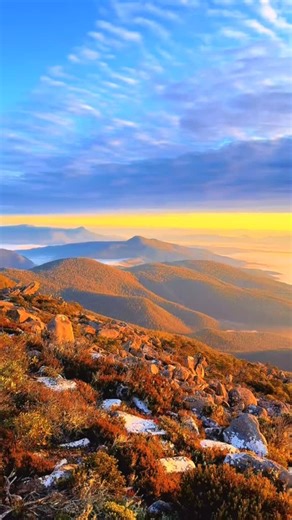Sunrise from kunanyi / Mount Wellington ✨ Golden light spilling over Hobart and the River Derwent - a view that never fails to stop you in your tracks. 💛 #experiencetasmania #mountwellington #kunanyi #tasmania #discovertasmania #seeaustralia #hobartandbeyond #sunrisetasmania #aussietravels #mountainviews #travelreels #naturevideography #photooftheday #instagood #naturelovers | Experience Tasmania