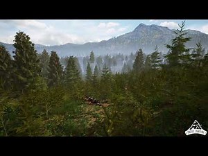 UE4 morning spruce forest