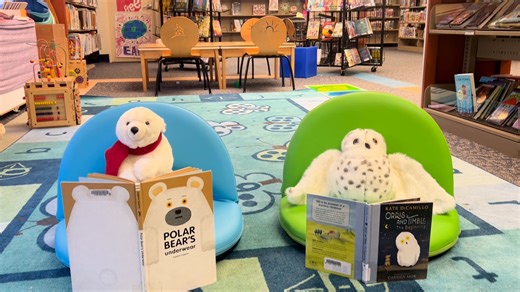 Our wintery friends here are enjoying some seasonal books and the new snow falling in our library! Come in and check out a "cool" book from our winter books display. | Fox Chase Library