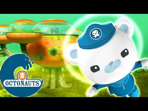 Octonauts - 🍃 La grande évasion dans les algues ⛑️ | Dessins animés pour enfants