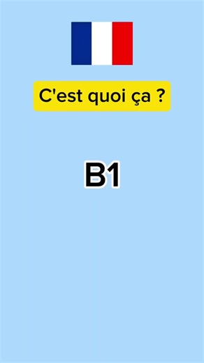 Défi TikTok : Vocabulaire Français