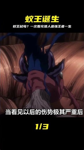 蟻王出生就弒母？一口氣看完《全職獵人》最強王者悲劇一生！ #動漫解說 #動畫解說 #電影解說 #拳願阿修羅 #動漫